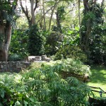 The garden at Las Farolas